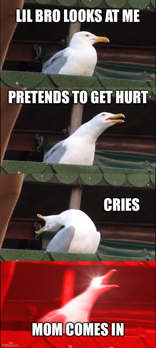 Inhaling Seagull | Lil Bro looks at me; Pretends to get hurt; Cries; Mom comes in | image tagged in memes,inhaling seagull | made w/ Imgflip meme maker
