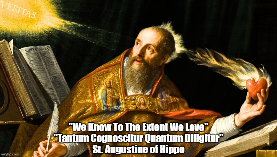 If This Is True, Trump Doesn't Know Diddly | "We Know To The Extent We Love"
"Tantum Cognoscitur Quantum Diligitur"
St. Augustine of Hippo | image tagged in st augustine of hippo,knowledge,love | made w/ Imgflip meme maker