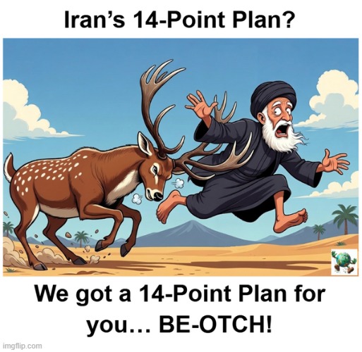 Iran has sent a 14-point plan to the US to end the war between the USA and Iran. Will Donald Trump accept it or reject it? | image tagged in maga,conservative,iran | made w/ Imgflip meme maker