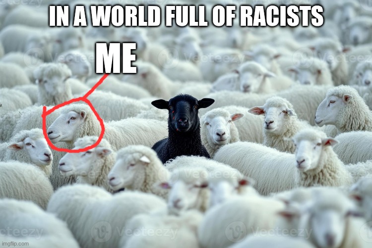 ME | In a world full of racists; Me | image tagged in in a world full of bad people | made w/ Imgflip meme maker