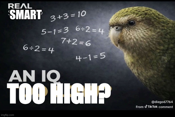 An IQ too high? | Smart; too high? | image tagged in iq | made w/ Imgflip meme maker