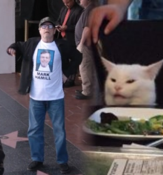 High Quality Mark Hamill and Smudge Blank Meme Template