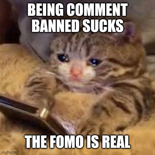 Sigh | Being comment banned sucks; The fomo is real | image tagged in sad cat looking at phone | made w/ Imgflip meme maker