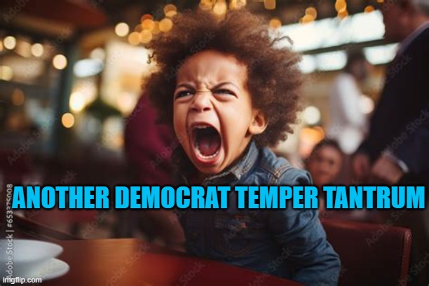 Just another Democrat temper tantrum | Another Democrat Temper Tantrum | image tagged in democrat,temper,tantrum | made w/ Imgflip meme maker