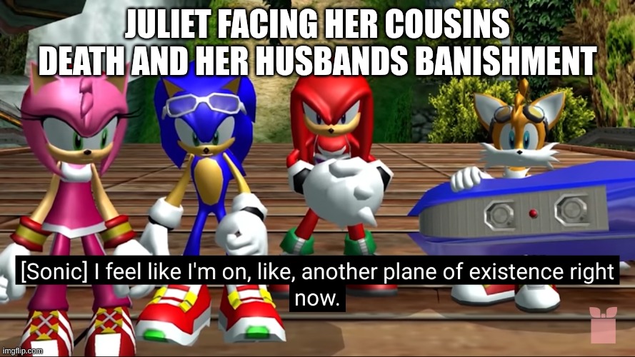 uhh for school | juliet facing her cousins death and her husbands banishment | image tagged in i feel like i'm on like another plane of existence right now | made w/ Imgflip meme maker