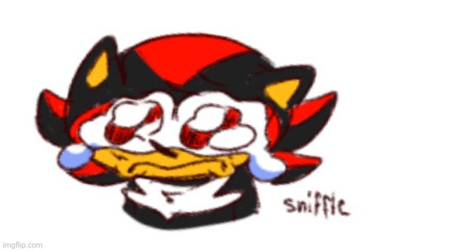 shadow sniffle | image tagged in shadow sniffle | made w/ Imgflip meme maker