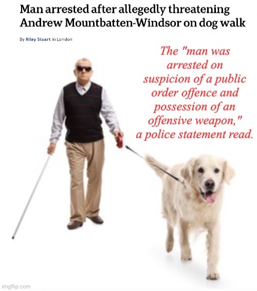 The Cane Mutiny | image tagged in still an idiot but of no use,headline writers and copyediting 101 | made w/ Imgflip meme maker
