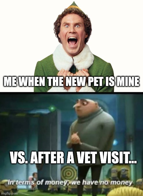 New pet feels vs after vet feels... | Me when the new pet is mine; Vs. after a vet visit... | image tagged in buddy the elf excited,in terms of money | made w/ Imgflip meme maker