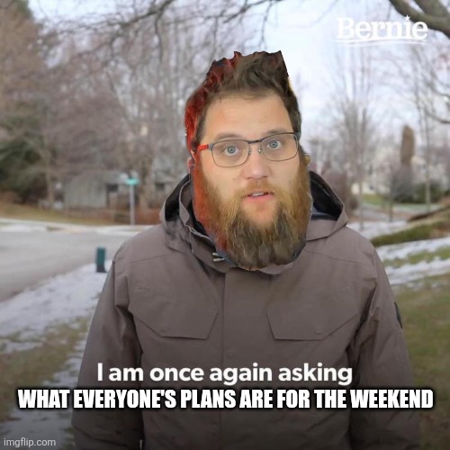 What are the oranges for... | What everyone's plans are for the weekend | image tagged in memes,bernie i am once again asking for your support | made w/ Imgflip meme maker