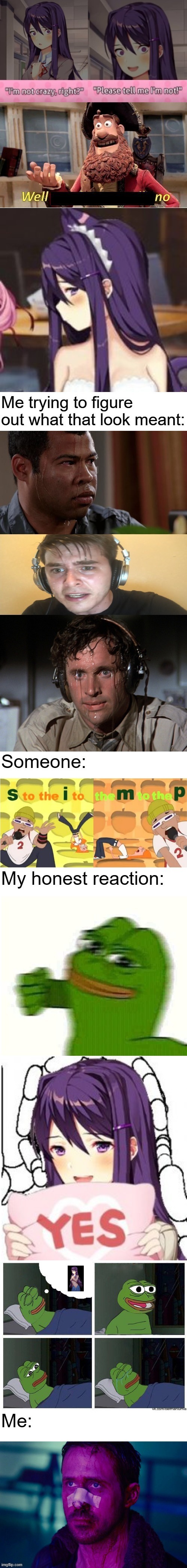 Long meme #8 (seriously what is that look on the 3rd image) | image tagged in ddlc,yuri | made w/ Imgflip meme maker