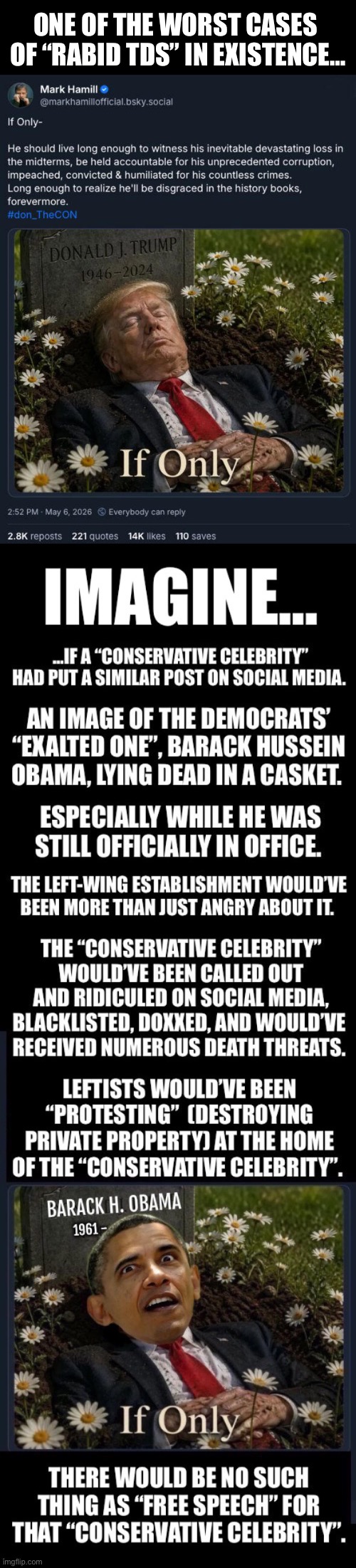 The extreme lunacy of a Hollywoke leftard on full display. | One of the worst cases 
of “rabid tds” in existence… | image tagged in political meme,mark hamill death meme,president trump,rabid tds,leftist hypocrisy,if the parties were reversed | made w/ Imgflip meme maker