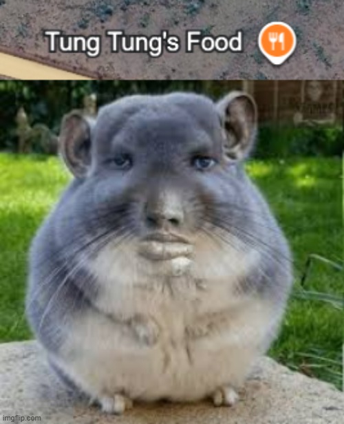 Bruh | image tagged in grey chinchilla meme,memes,funny,brainrot,tung tung tung sahur,bruh | made w/ Imgflip meme maker