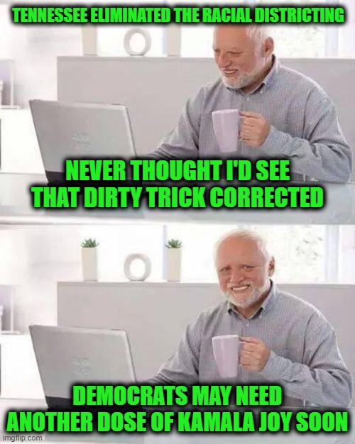 Happy, Happy, Joy, Joy | Tennessee eliminated the racial districting; Never thought I'd see that dirty trick corrected; Democrats may need another dose of Kamala joy soon | image tagged in memes,hide the pain harold | made w/ Imgflip meme maker