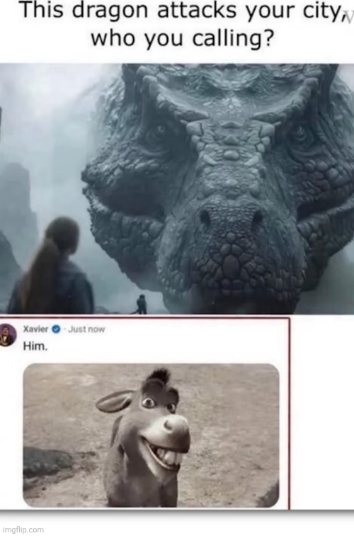 good idea | image tagged in dragon,shrek,donkey,donkey from shrek,movies,love | made w/ Imgflip meme maker