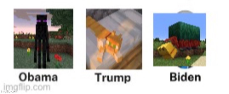 image tagged in enderman,sniffer,cat,memes,minecraft | made w/ Imgflip meme maker