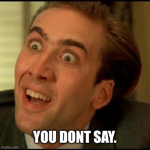 You dont say. | image tagged in you dont say | made w/ Imgflip meme maker