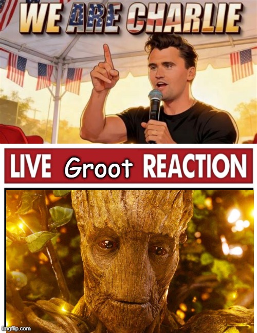 Groot | image tagged in blank live reaction | made w/ Imgflip meme maker