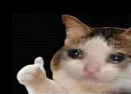 Sad cat Blank Meme Template