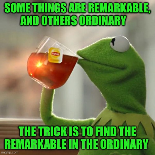 But That's None Of My Business Meme | Some things are remarkable, and others ordinary; The trick is to find the remarkable in the ordinary | image tagged in memes,but that's none of my business,kermit the frog | made w/ Imgflip meme maker