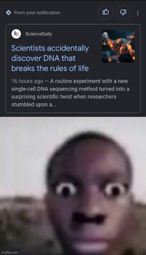 Oh ok | image tagged in bruh what,dna,life | made w/ Imgflip meme maker