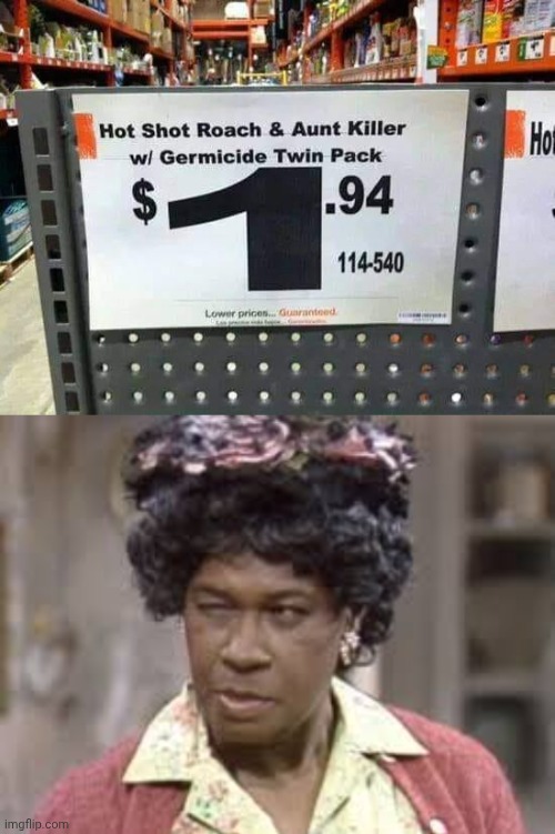 "Aunt Killer" nooooooooooooooooo | image tagged in aunt esther,spelling error,ant,roach,memes,you had one job | made w/ Imgflip meme maker