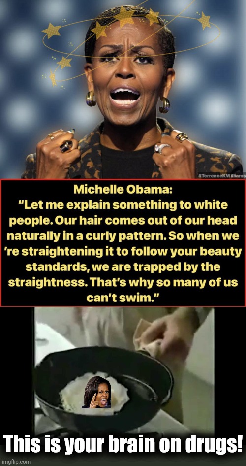 Your brain on drugs | This is your brain on drugs! | image tagged in brain on drugs,memes,michelle obama,crazy,democrats,hair | made w/ Imgflip meme maker