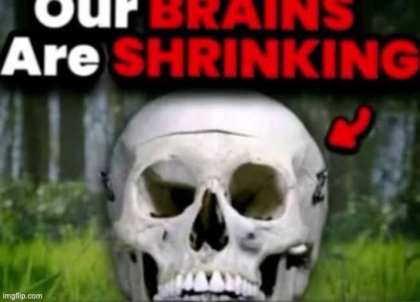 our brains are shrinking | image tagged in our brains are shrinking | made w/ Imgflip meme maker