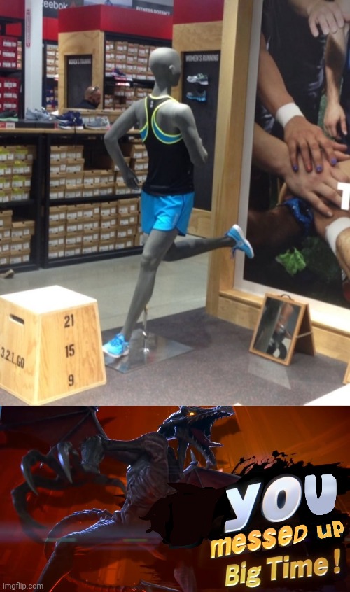 The dummy | image tagged in ridley you messed up big time,dummy,mannequin,memes,you had one job,store | made w/ Imgflip meme maker