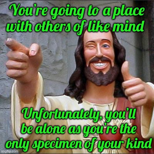 Buddy Christ Meme | You’re going to a place with others of like mind; Unfortunately, you’ll be alone as you’re the only specimen of your kind | image tagged in memes,buddy christ | made w/ Imgflip meme maker