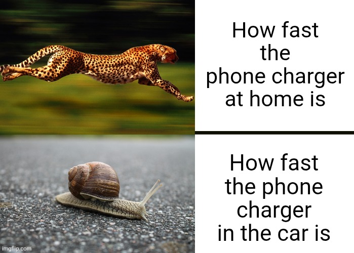 Supercell vs Flick7 2/3 (whoever gets more total upvotes wins) | How fast the phone charger at home is; How fast the phone charger in the car is | image tagged in charger,phone,cheetah,snail,fast,phones | made w/ Imgflip meme maker
