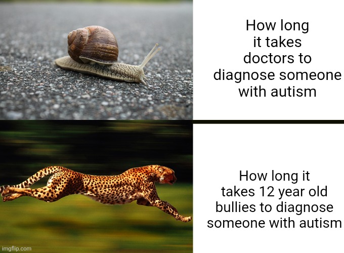 Lock in, doctors | How long it takes doctors to diagnose someone with autism; How long it takes 12 year old bullies to diagnose someone with autism | image tagged in autism,doctor,bullies,time,long,snail | made w/ Imgflip meme maker