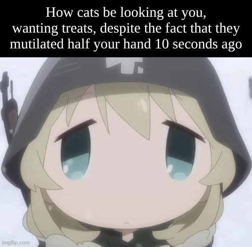 How cats be looking at you, wanting treats, despite the fact that they mutilated half your hand 10 seconds ago | made w/ Imgflip meme maker