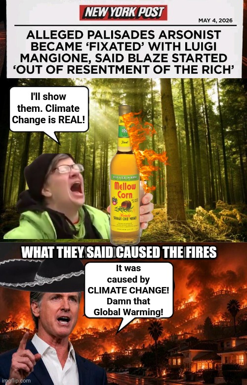 Climate Change is not real - result of arson | I'll show them. Climate Change is REAL! What they said caused the fires; It was caused by CLIMATE CHANGE! Damn that Global Warming! | image tagged in sunlit forest,img 14 jpeg,liberal logic,arson,grease,gavin | made w/ Imgflip meme maker