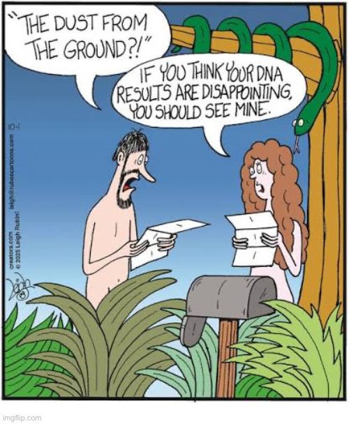 Rubes | image tagged in comics,rubes,adam and eve,dna results,dust and a rib,disappointment | made w/ Imgflip meme maker