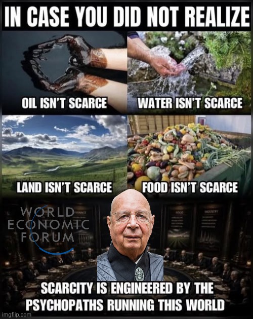 Falsity of Scarcity | image tagged in img 3 png,scary,nwo,lies | made w/ Imgflip meme maker
