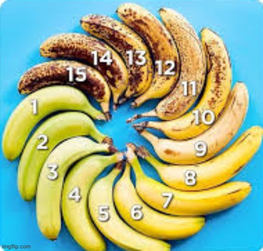 how do y'all like your bananas | image tagged in bananas | made w/ Imgflip meme maker