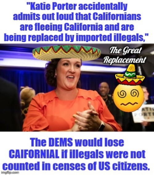 Always add the Sombrero to refer to Demorhhoids Illegals First policy | image tagged in illegals,first meme | made w/ Imgflip meme maker