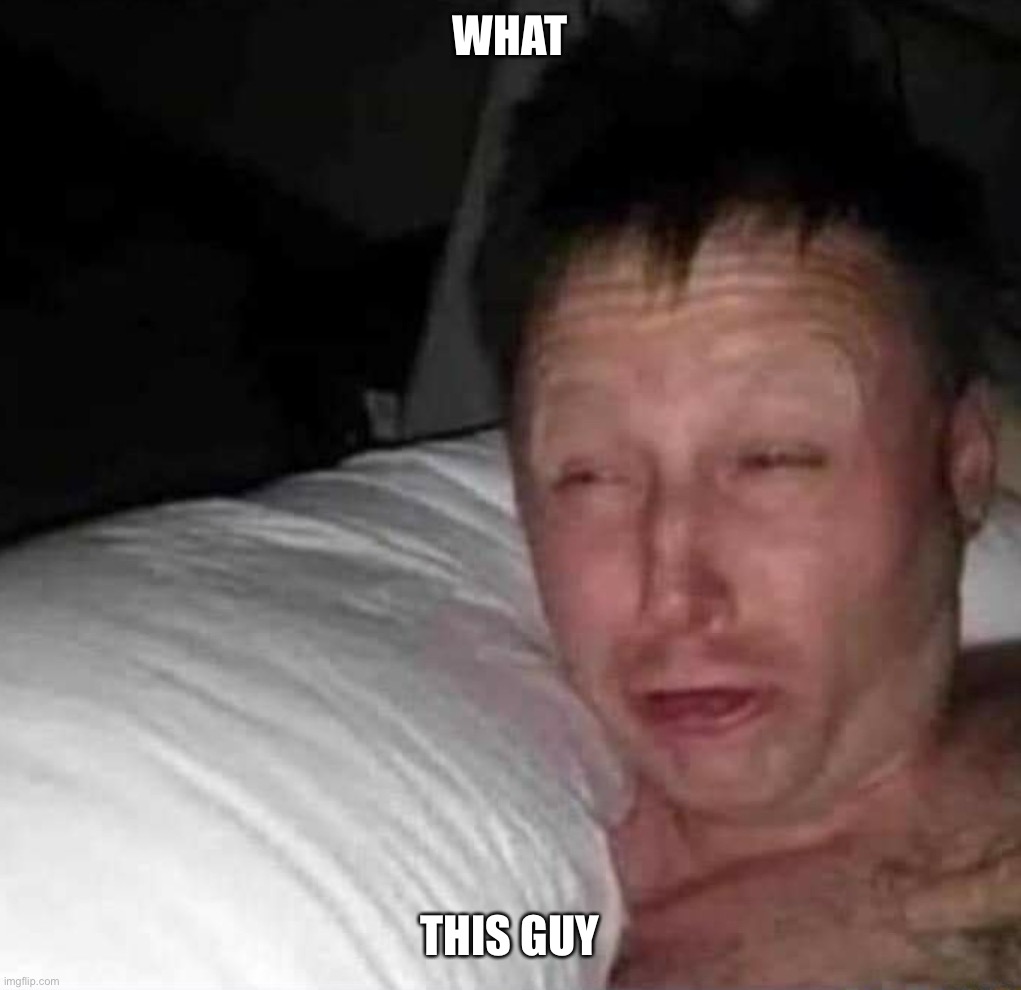 Sleepy guy | What THIS GUY | image tagged in sleepy guy | made w/ Imgflip meme maker