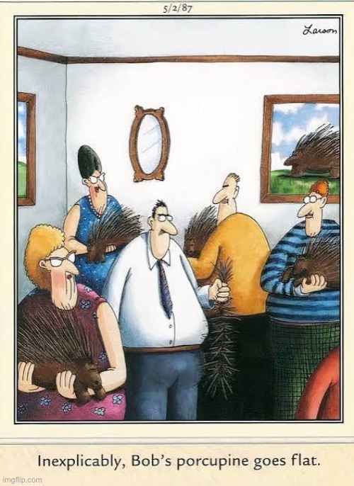 How embarrassing! | image tagged in the far side,comics,porcupine,flat,inexplicable,party | made w/ Imgflip meme maker