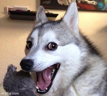image tagged in dog laugh | made w/ Imgflip meme maker