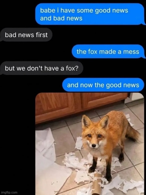 :D | image tagged in fox,mess | made w/ Imgflip meme maker