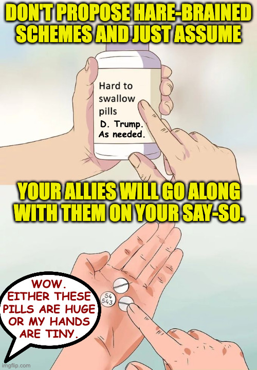 Dinner for schmucks. | don't propose hare-brained
schemes and just assume; D. Trump.
As needed. your allies will go along
with them on your say-so. wow.
either these
pills are huge
or my hands
are tiny. | image tagged in memes,hard to swallow pills,trump | made w/ Imgflip meme maker