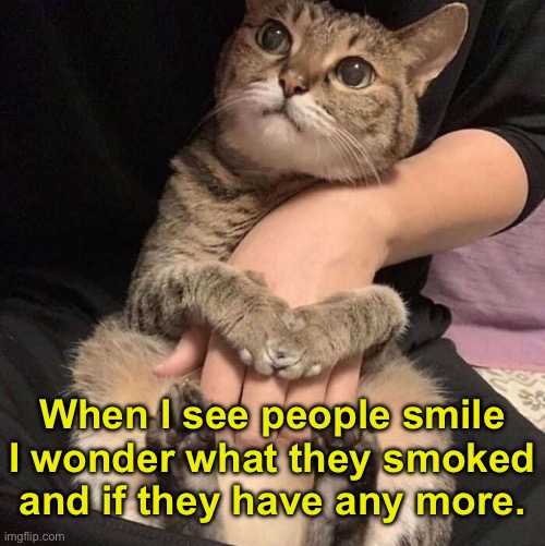 When I see people smile I wonder what they smoked and if they have any more. | made w/ Imgflip meme maker