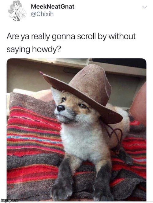 :3 | image tagged in fox,cowboy | made w/ Imgflip meme maker