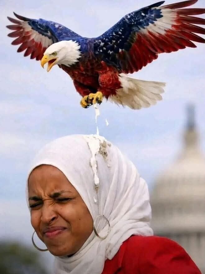 High Quality POOP on ILHAN Blank Meme Template