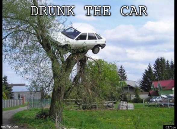 Secure Parking Meme | drunk the car | image tagged in memes,secure parking | made w/ Imgflip meme maker