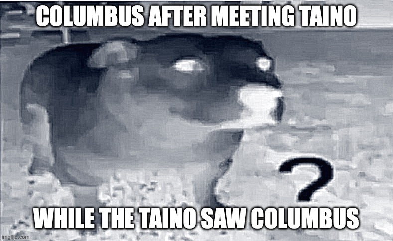 Taino and Columbus | Columbus after meeting Taino; While the Taino saw Columbus | image tagged in funny animals | made w/ Imgflip meme maker