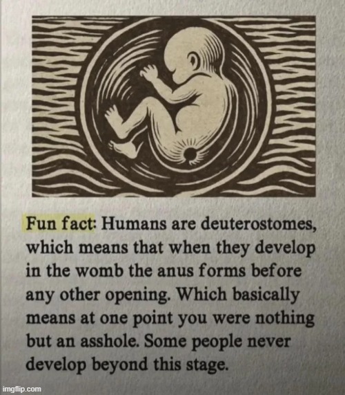 image tagged in humans,womb,anus,asshole | made w/ Imgflip meme maker