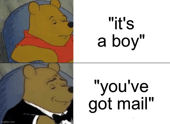 Tuxedo Winnie The Pooh Meme | "it's a boy"; "you've got mail" | image tagged in memes,tuxedo winnie the pooh | made w/ Imgflip meme maker