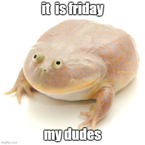 yay | it  is friday; my dudes | image tagged in it is wednesday my dudes | made w/ Imgflip meme maker